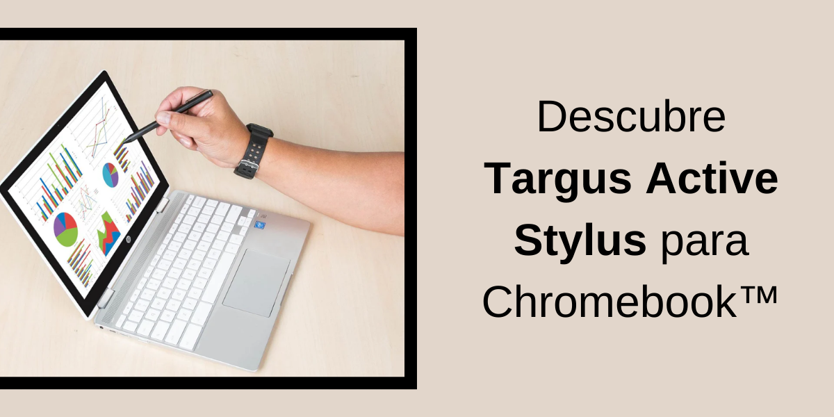 Stylet TARGUS actif pour Chromebook
