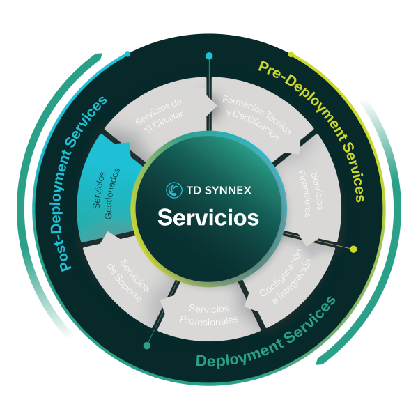 TD SYNNEX Servicios